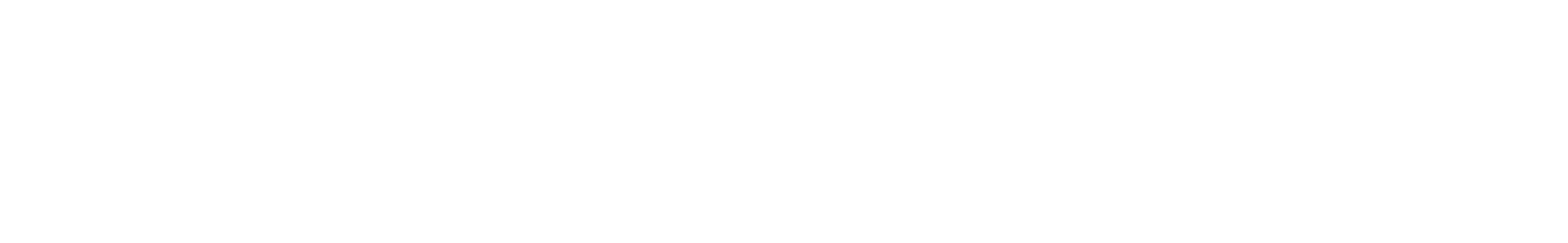 fitfans logo
